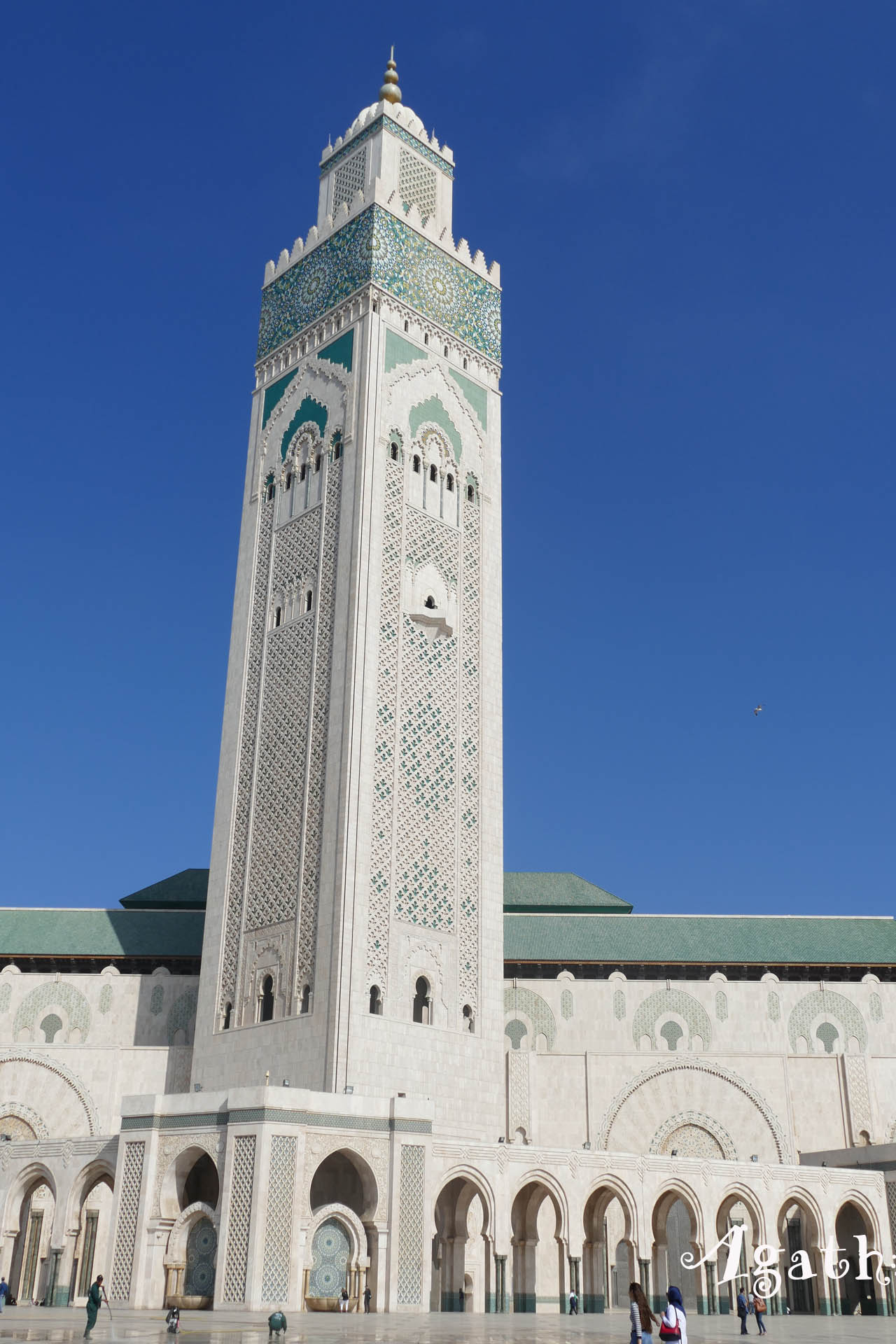 2017MA0156-Casablanca-Grande Mosquee Minaret